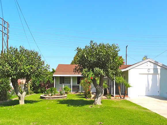 house garden