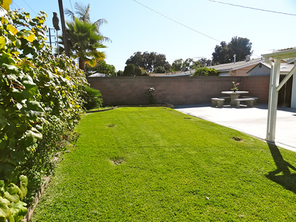 house garden